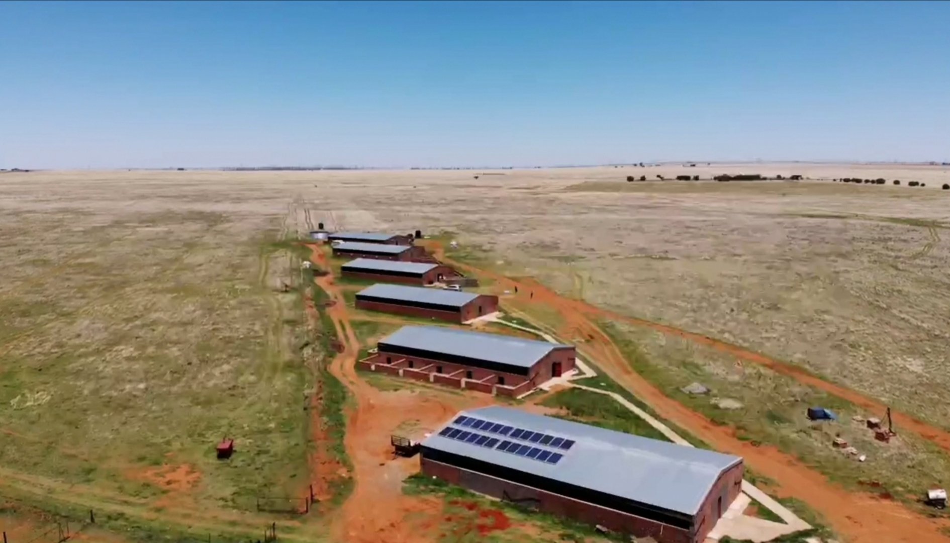 Prime Pig Farming Opportunity in Dealesville, Free State