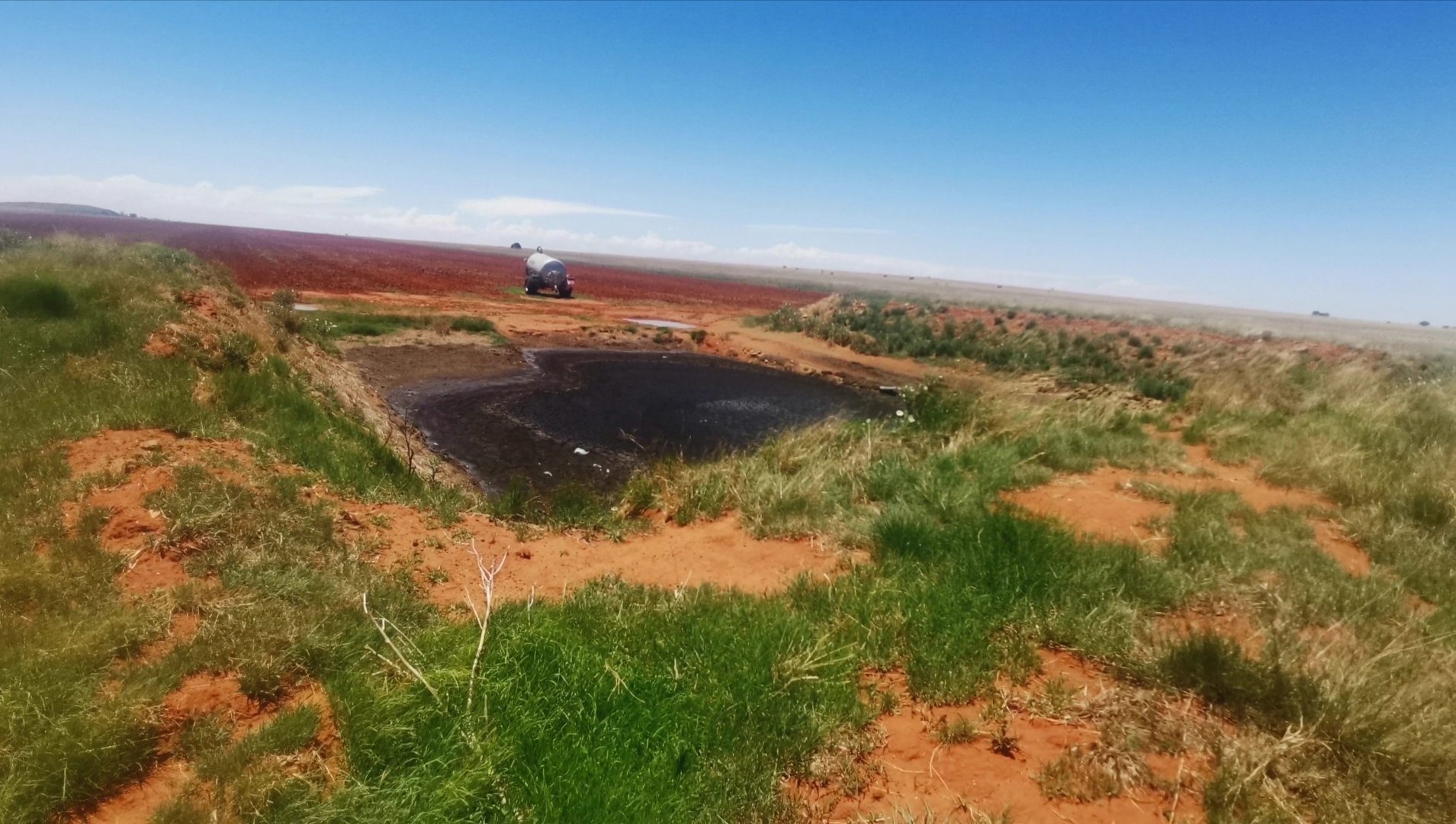 Prime Pig Farming Opportunity in Dealesville, Free State photo 4
