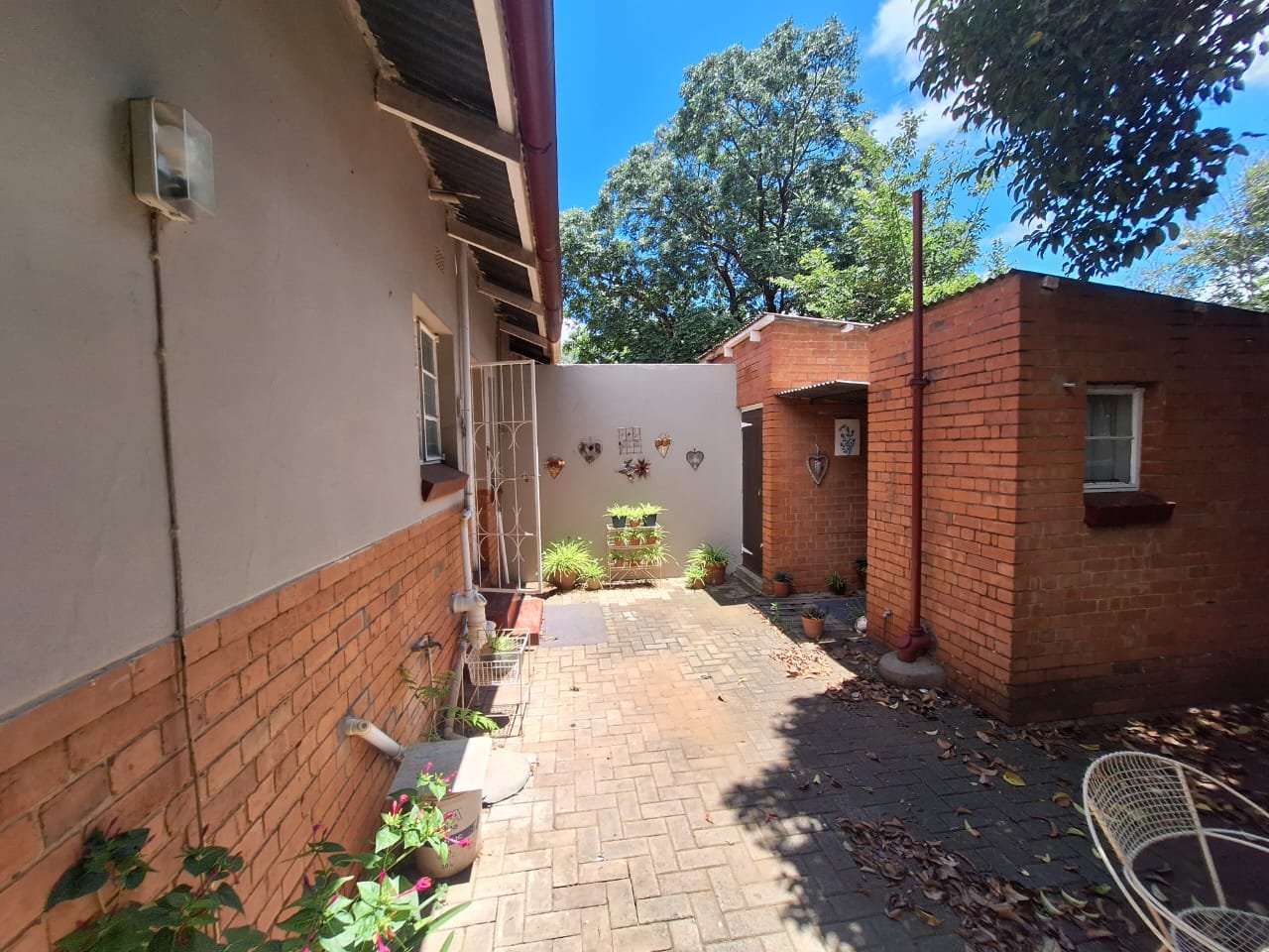 Spacious one bedroom Home in Wilgehof  photo 4