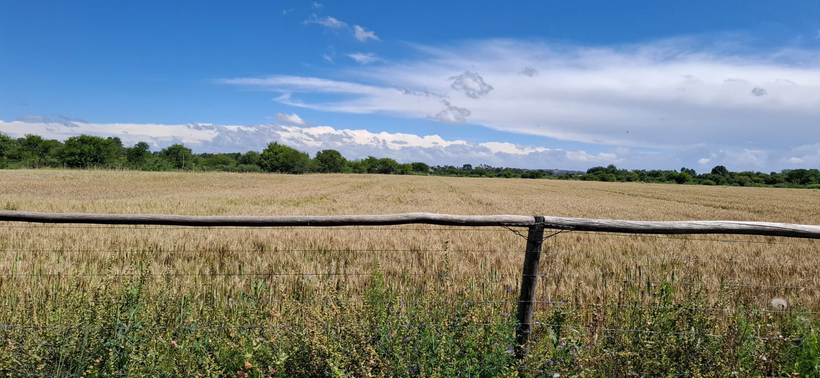 Farm for Sale Bloemfontein Rural photo 4