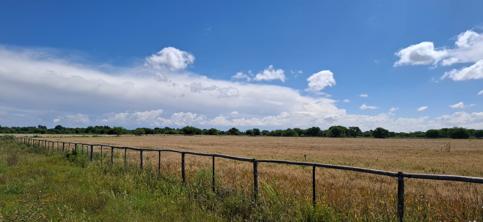Farm for Sale Bloemfontein Rural photo 5