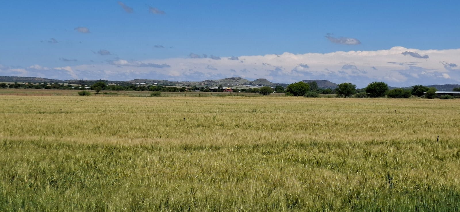 Farm for Sale Bloemfontein Rural