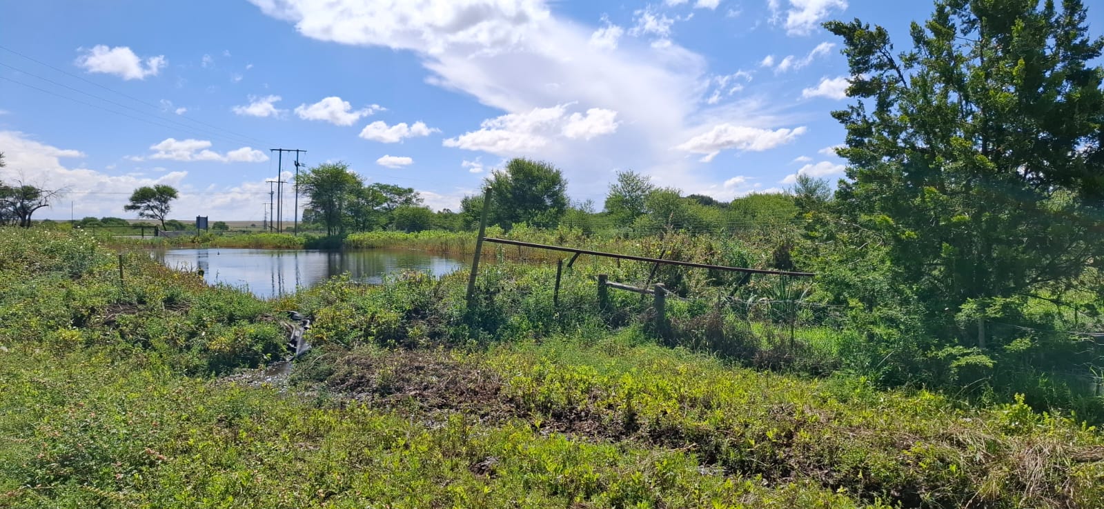 Farm for Sale Bloemfontein Rural photo 3