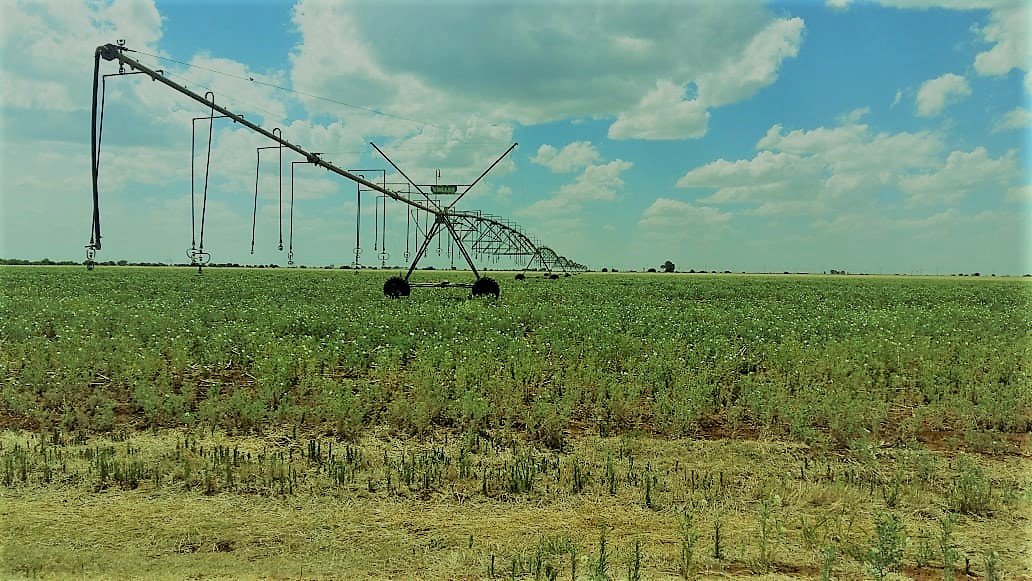 IRRIGATED MIXED-FARM WITH VAAL RIVER WATER RIGHTS AND MULTIPLE PIVOTS photo 4