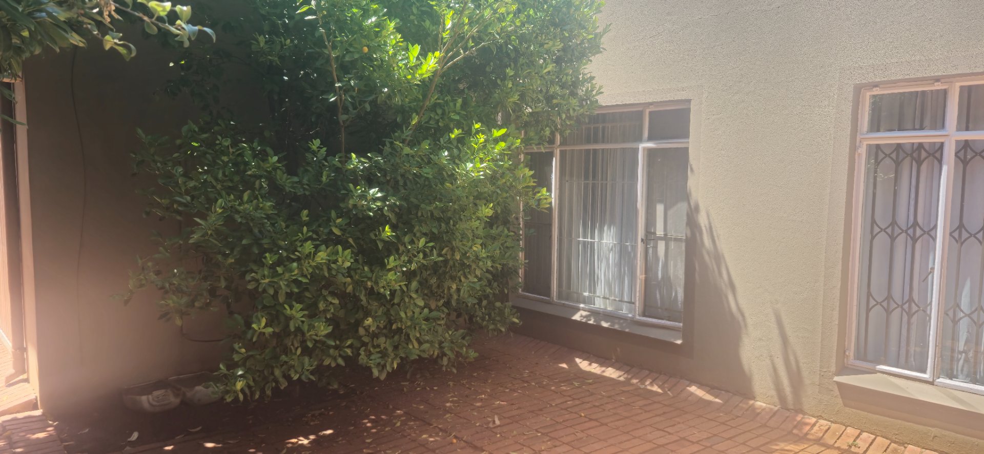 Spacious 3-Bedroom Family Home on a Large Corner Stand in Langehoven Park photo 4