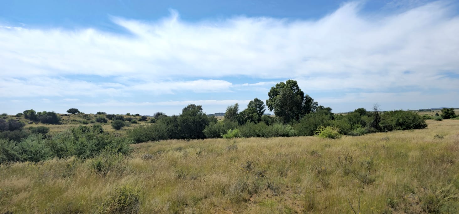SOLE MANDATE.  MIXED FARM WITH POTENTIAL  ARABLE LAND AND WATER NEAR  BLOEMFONTEIN photo 4