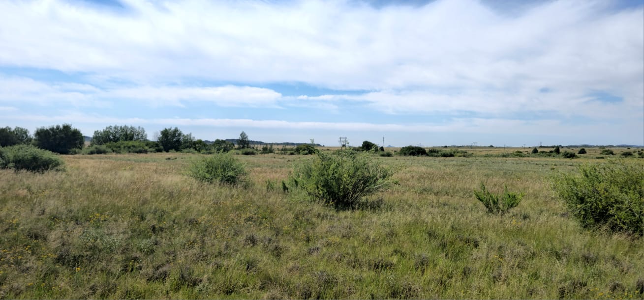 SOLE MANDATE. MIXED FARM WITH POTENTIAL ARABLE LAND AND WATER NEAR BLOEMFONTEIN