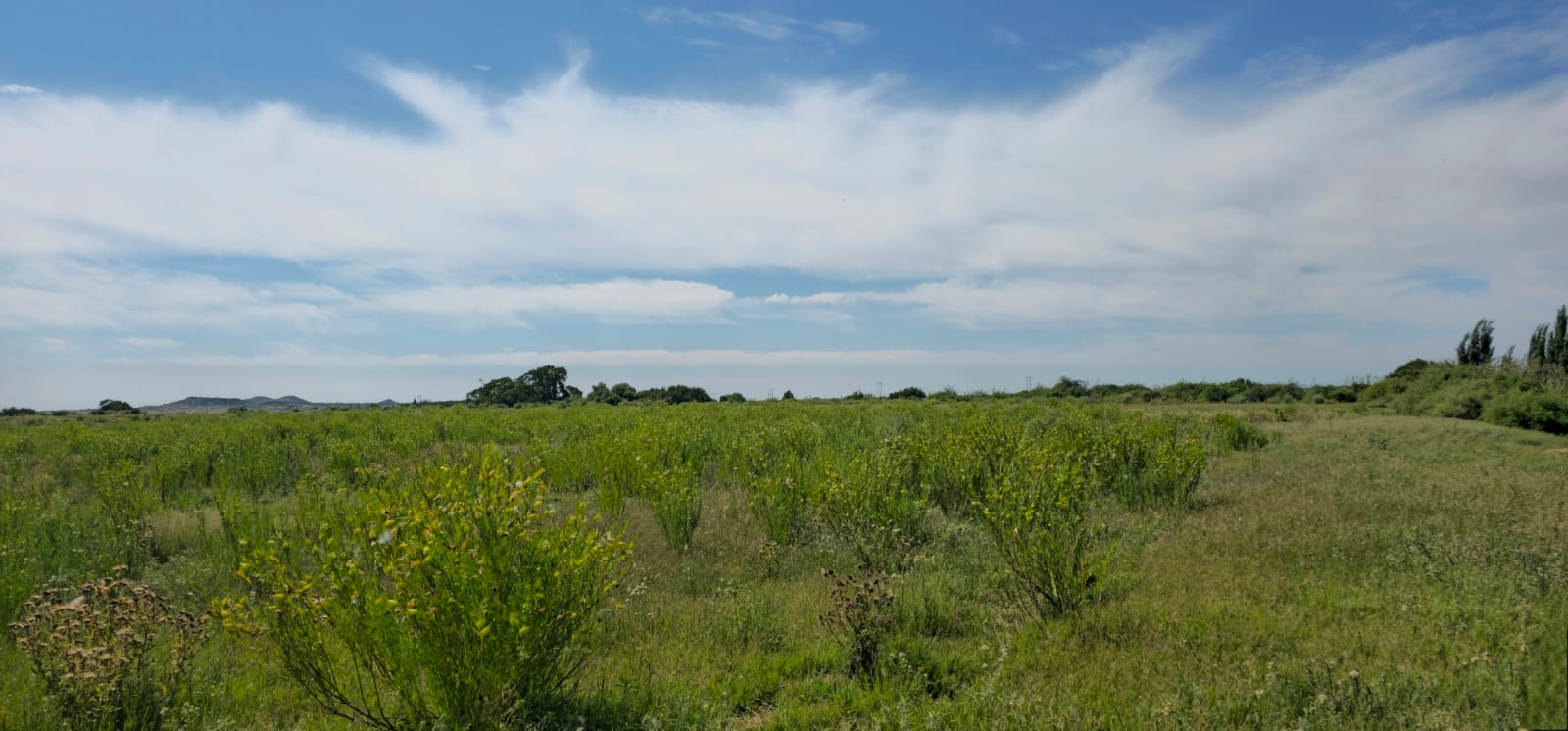 SOLE MANDATE.  MIXED FARM WITH POTENTIAL  ARABLE LAND AND WATER NEAR  BLOEMFONTEIN photo 3