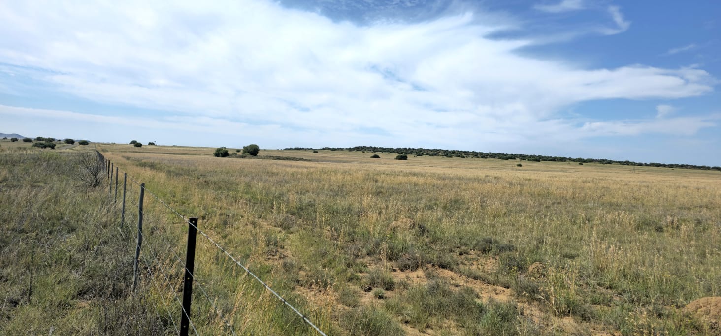 SOLE MANDATE.  MIXED FARM WITH POTENTIAL  ARABLE LAND AND WATER NEAR  BLOEMFONTEIN photo 5