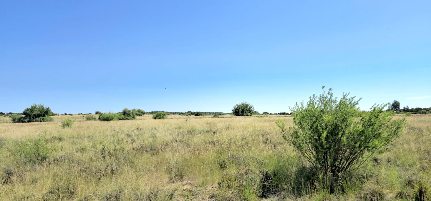 SOLE MANDATE.  MIXED FARM WITH POTENTIAL  ARABLE LAND AND WATER NEAR  BLOEMFONTEIN photo 2