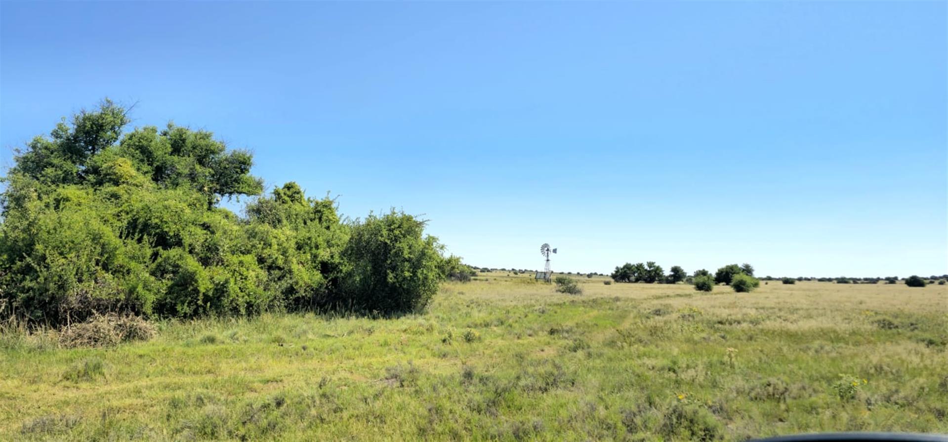 SOLE MANDATE. WELL-LAID-OUT GRAZING FARM  photo 3