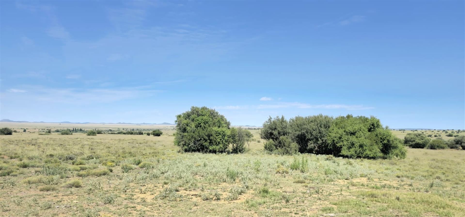 SOLE MANDATE. WELL-LAID-OUT GRAZING FARM  photo 5