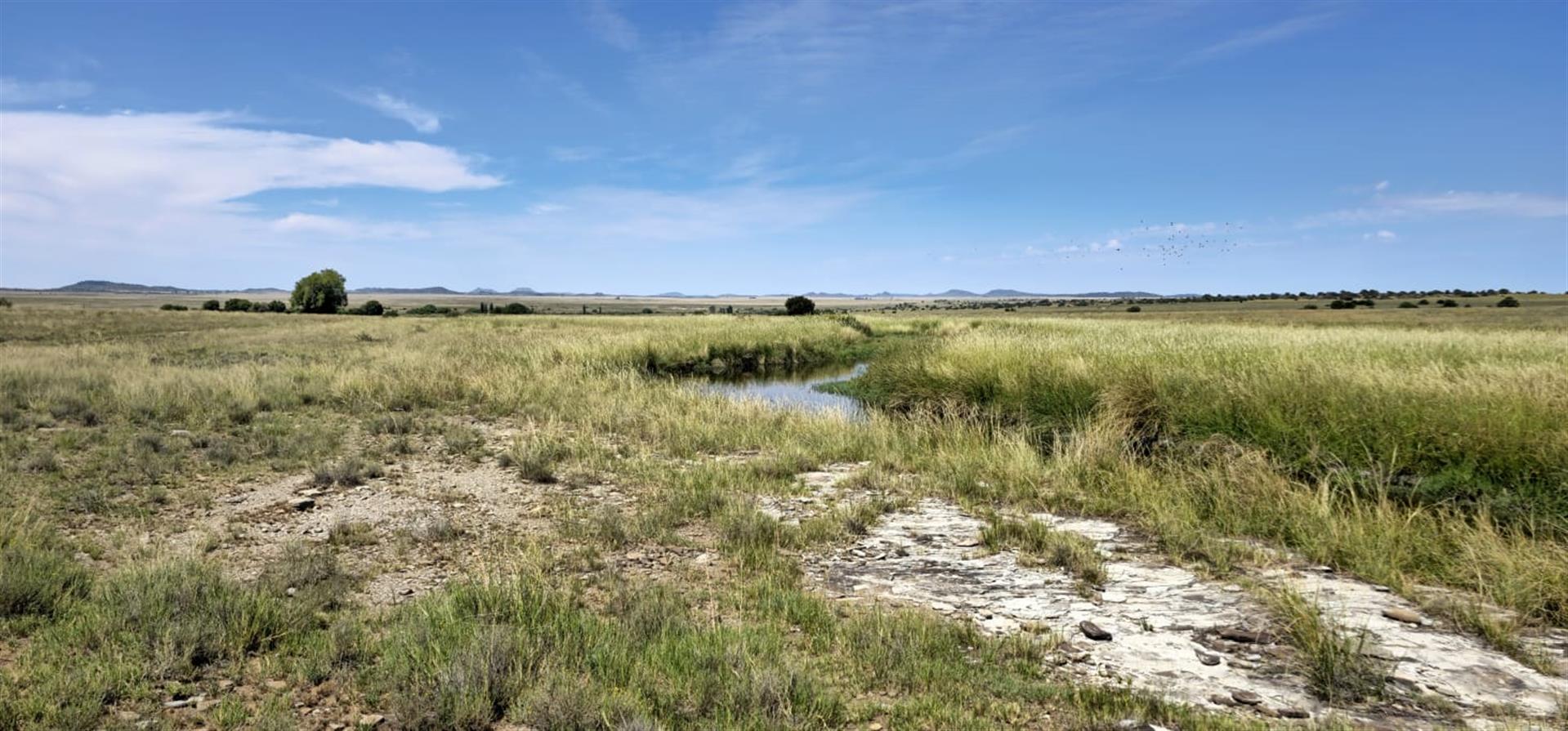 SOLE MANDATE. WELL-LAID-OUT GRAZING FARM  photo 4