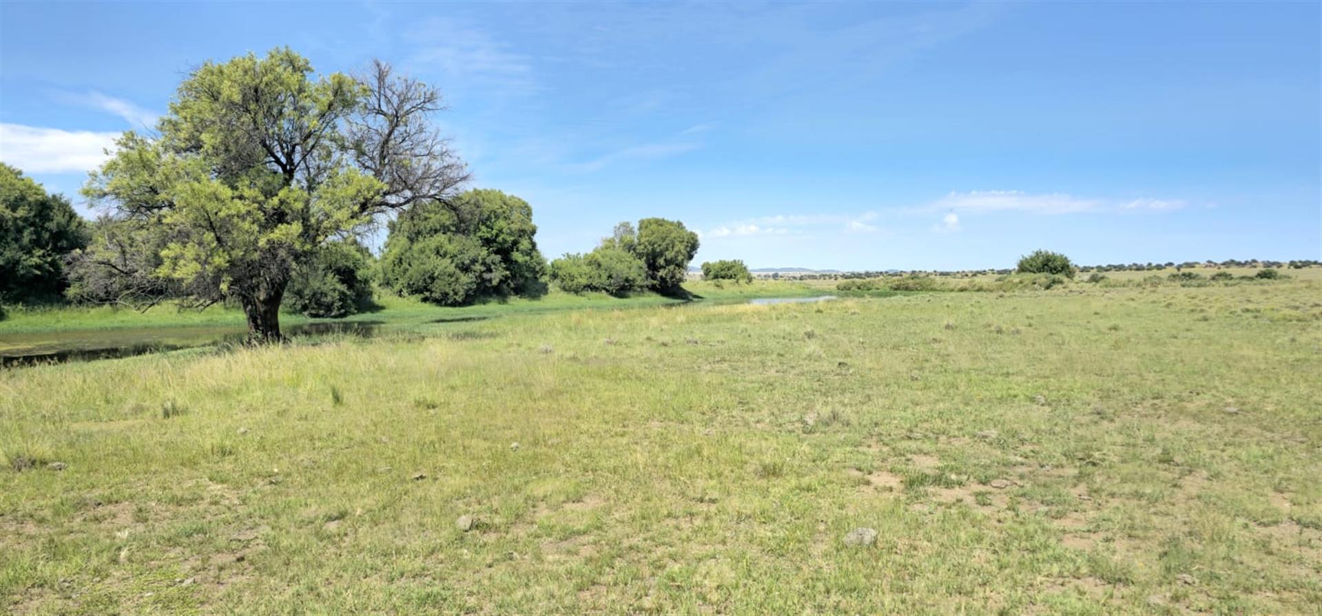 SOLE MANDATE. WELL-LAID-OUT GRAZING FARM  photo 2