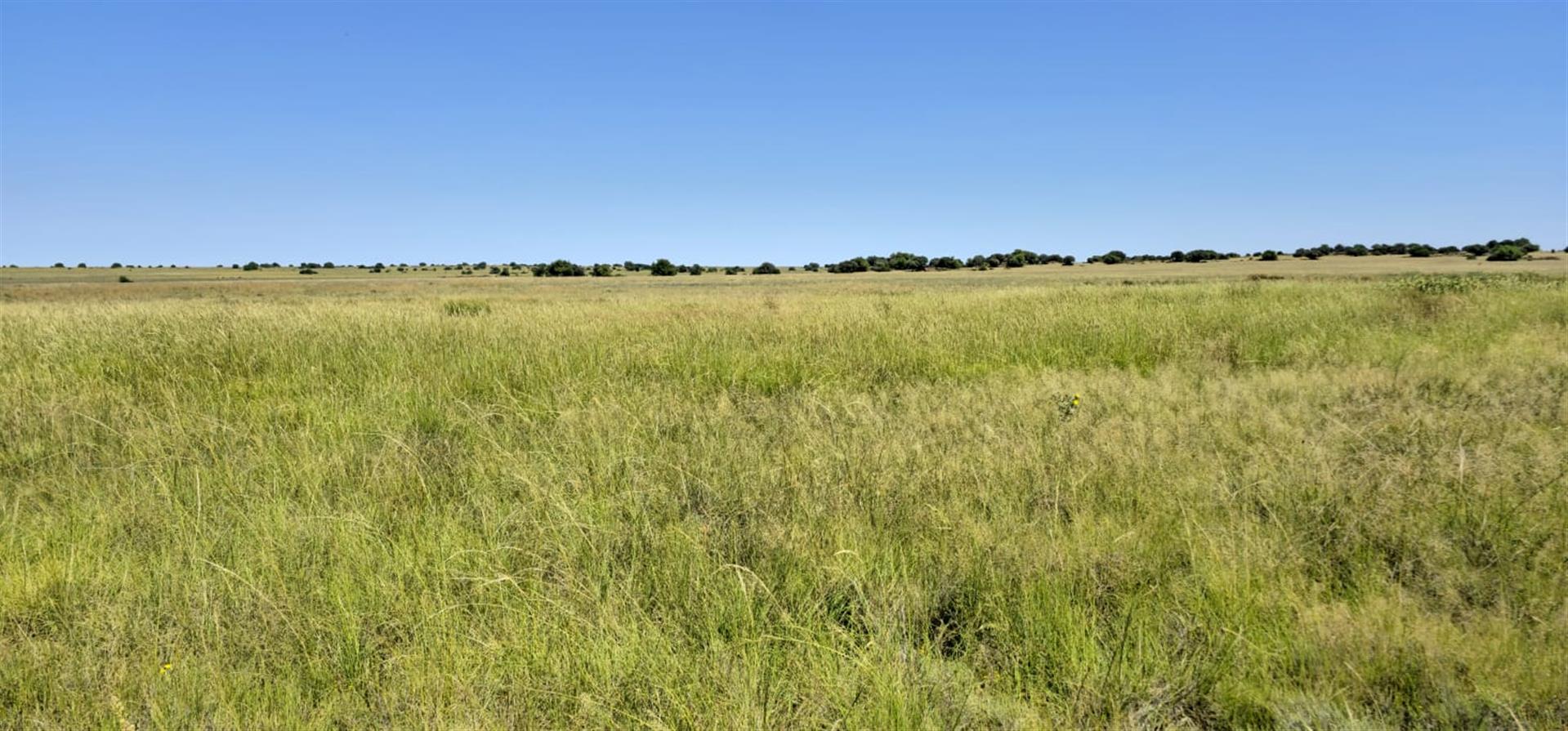 SOLE MANDATE. WELL-LAID-OUT GRAZING FARM