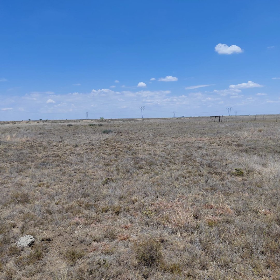 SOLE MANDATE. 1,118 HA LARGE-SCALE GRAZING FARM – DEALESVILLE DISTRICT photo 5