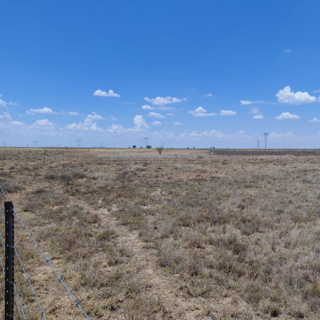 SOLE MANDATE. 1,118 HA LARGE-SCALE GRAZING FARM – DEALESVILLE DISTRICT photo 4