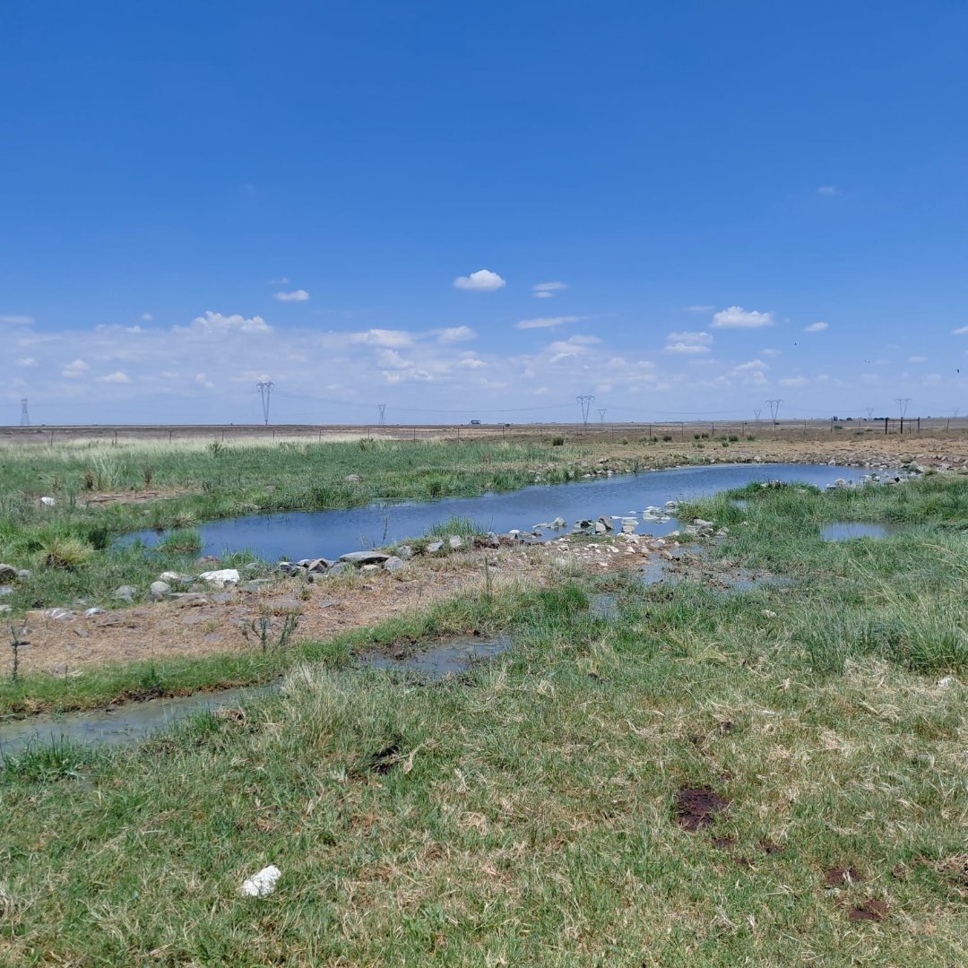 SOLE MANDATE. 1,118 HA LARGE-SCALE GRAZING FARM – DEALESVILLE DISTRICT