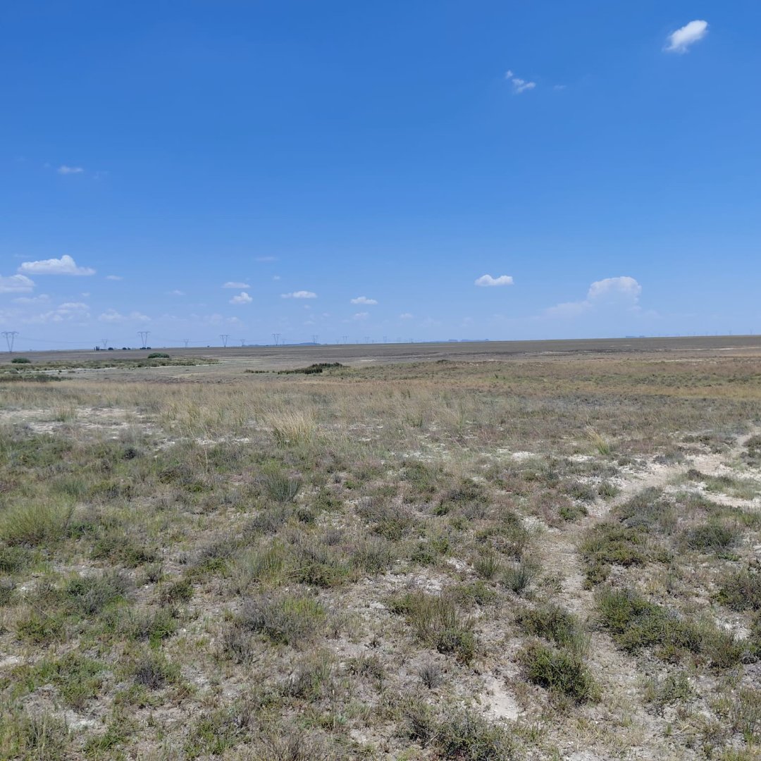 SOLE MANDATE. 1,118 HA LARGE-SCALE GRAZING FARM – DEALESVILLE DISTRICT photo 2