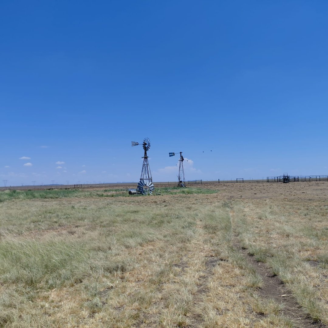 SOLE MANDATE. 1,118 HA LARGE-SCALE GRAZING FARM – DEALESVILLE DISTRICT photo 3