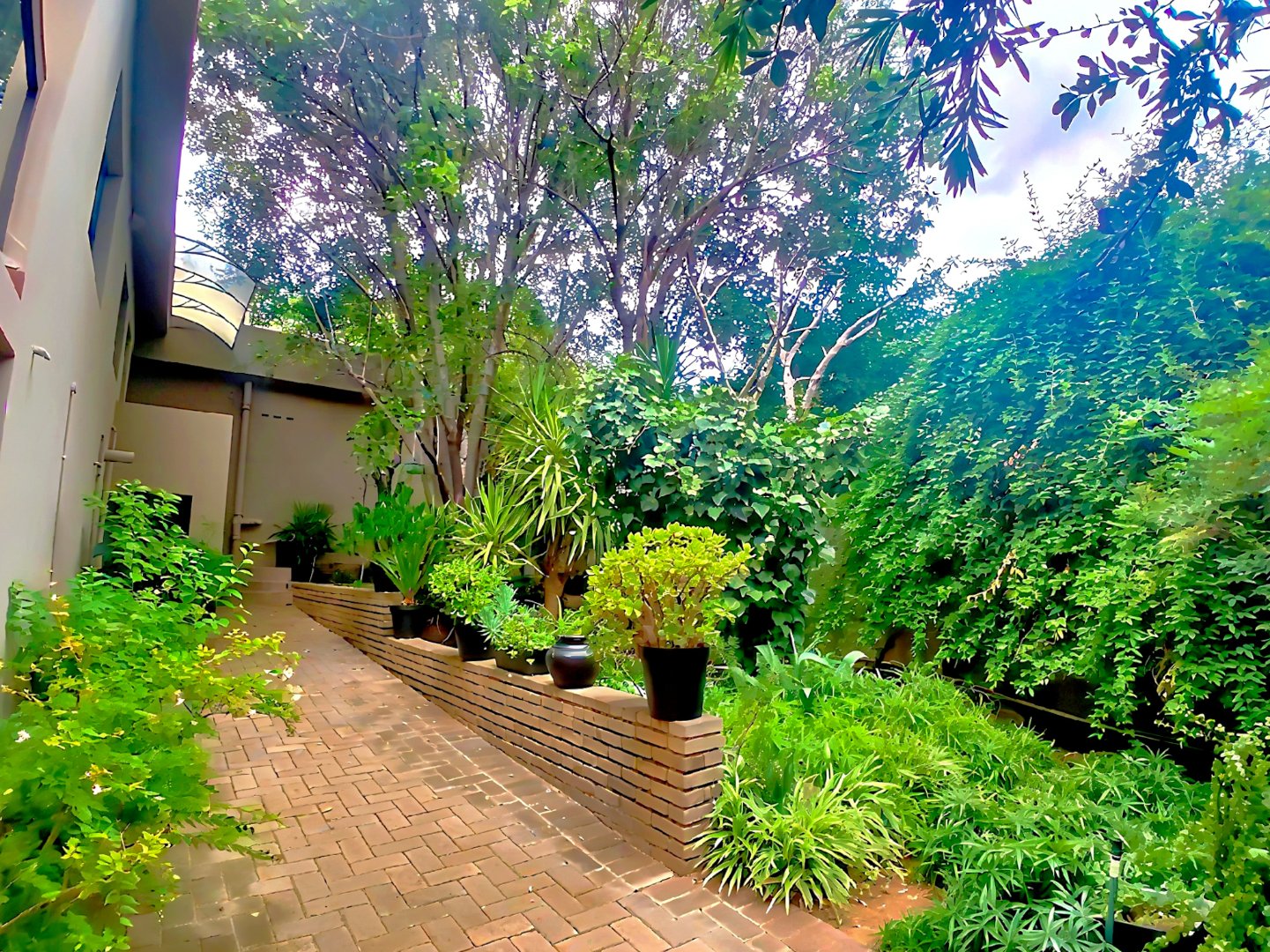 4 Bedroom Luxury Home for Sale in Westdene | Pool | Triple Garage | Study photo 5