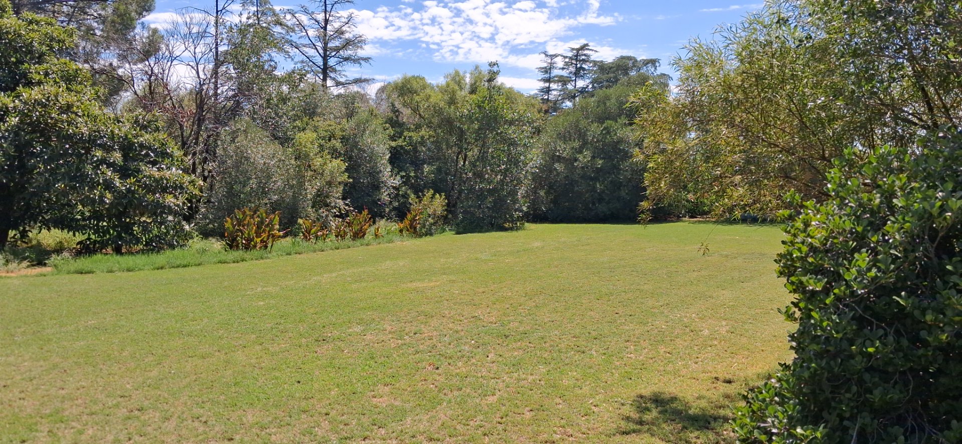 Exclusive sole mandate .Well priced 52ha farm with  10ha  registered water rights photo 4
