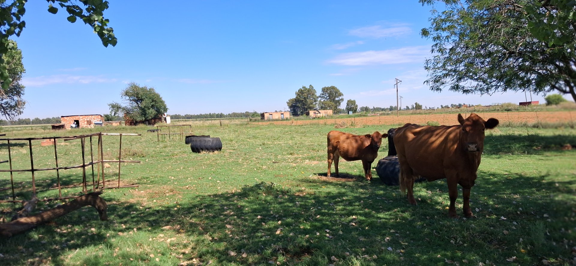 Exclusive sole mandate .Well priced 52ha farm with 10ha registered water rights