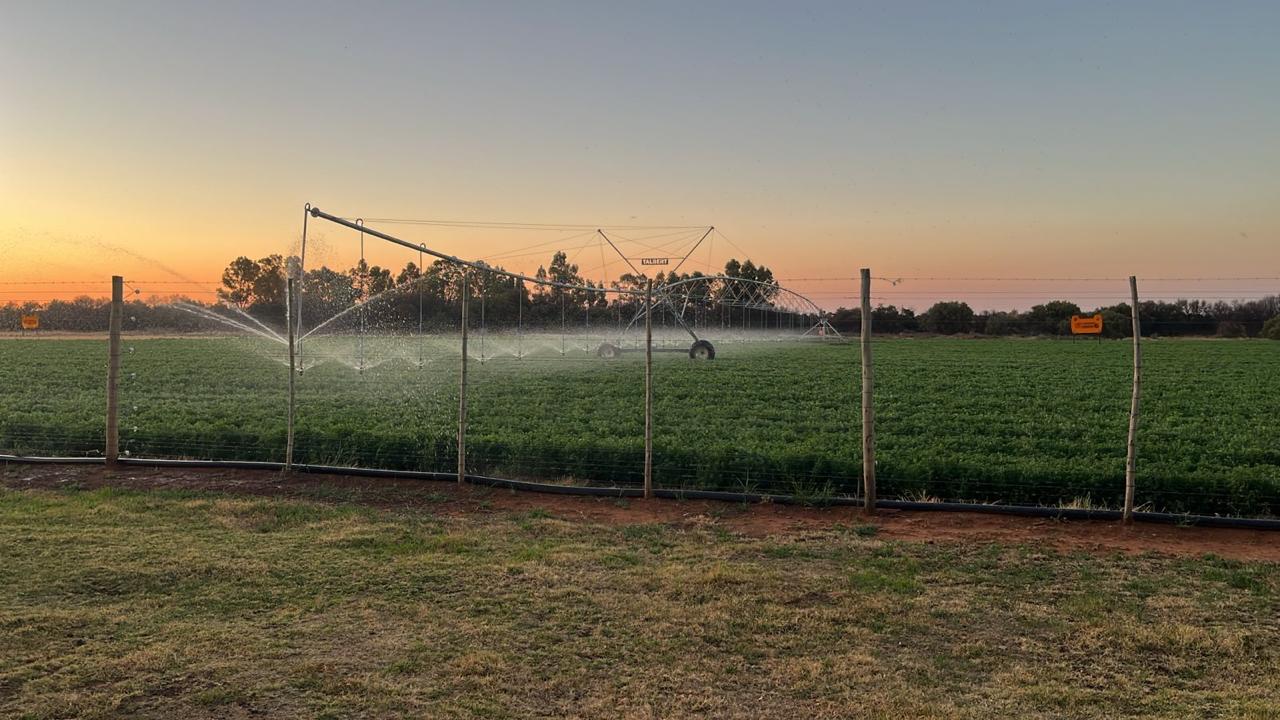 42 Ha Irrigation Farm for Sale in Bainsvlei