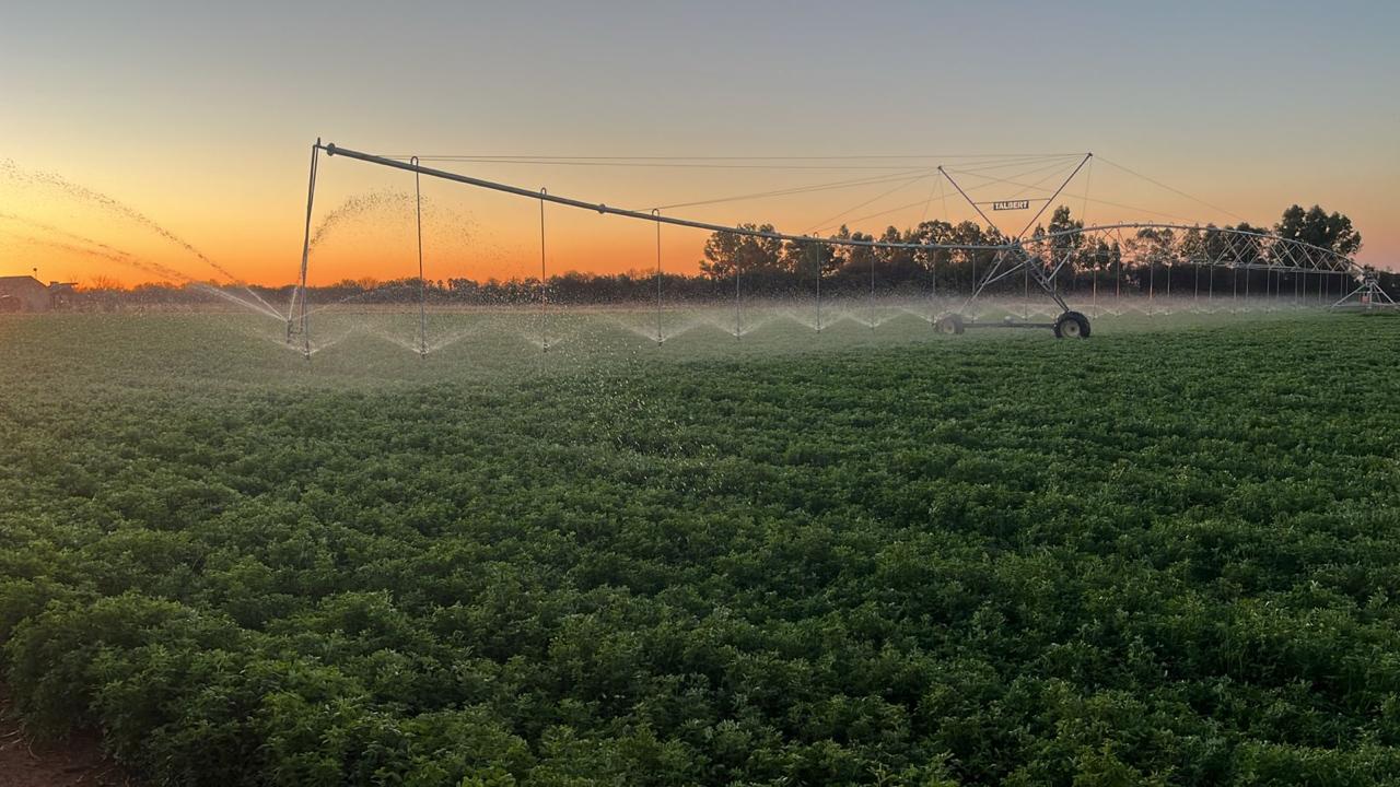 42 Ha Irrigation Farm for Sale in Bainsvlei photo 2