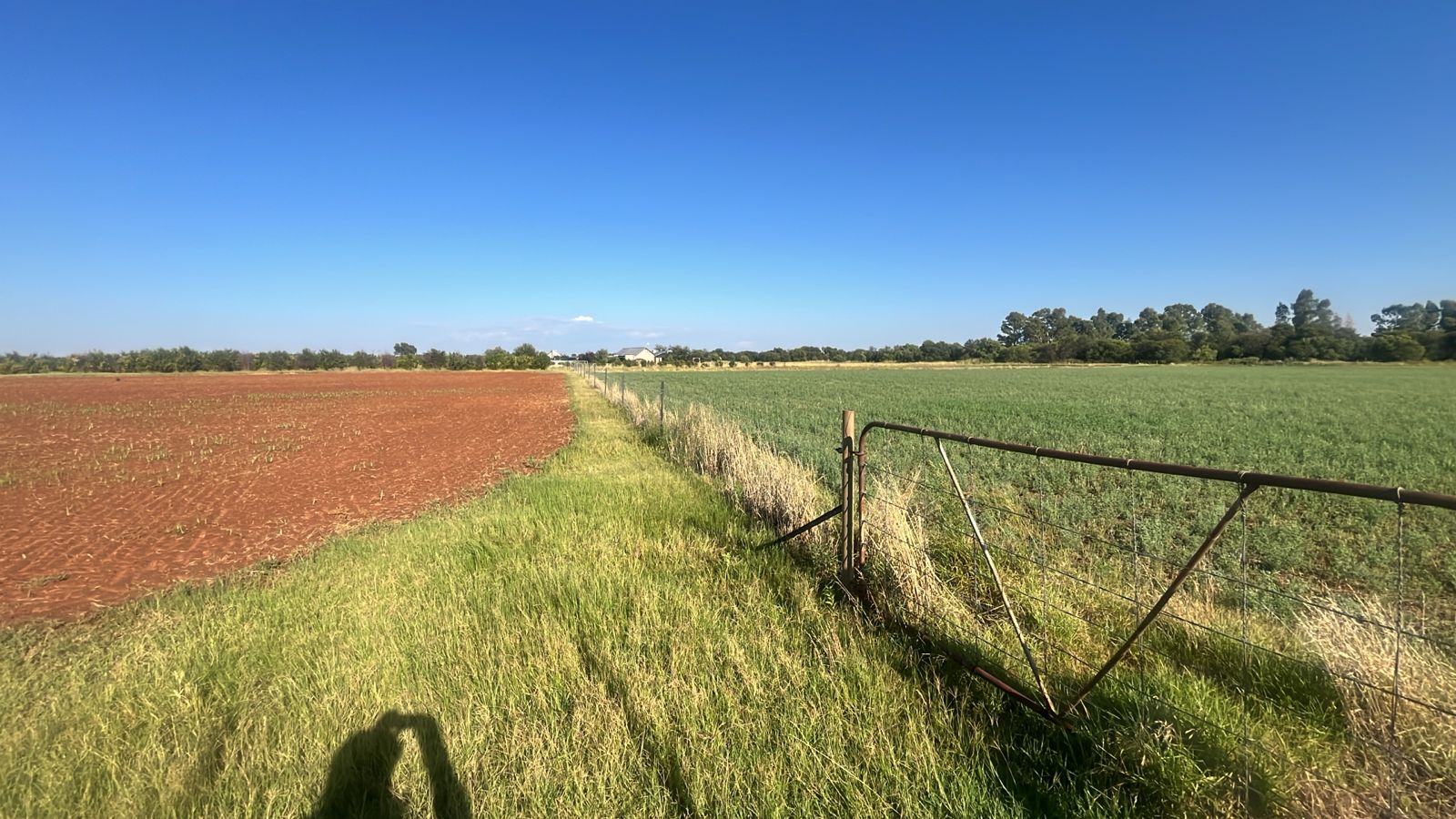 42 Ha Irrigation Farm for Sale in Bainsvlei photo 5
