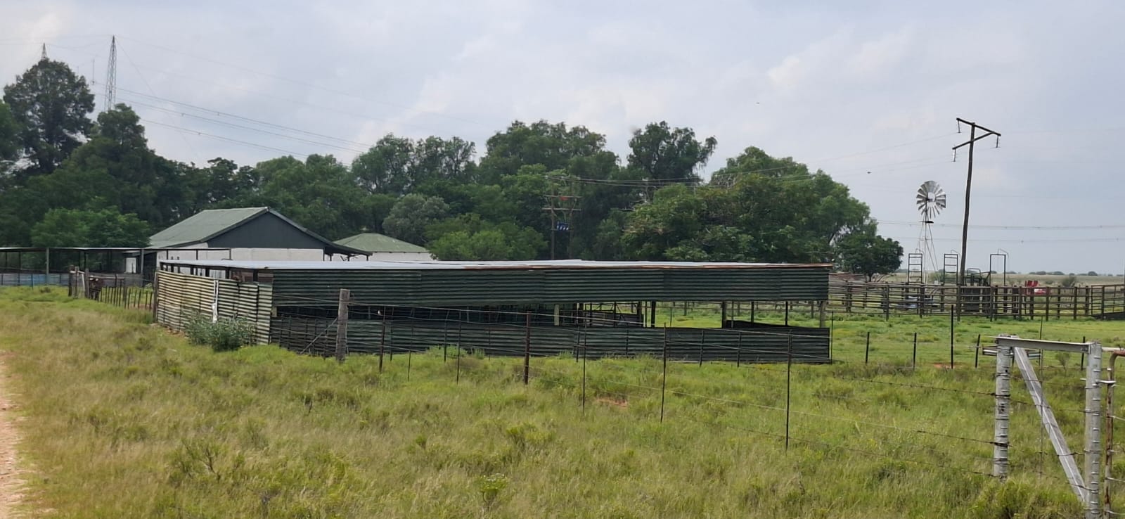 Grazing farm for sale Dealesvlle photo 5