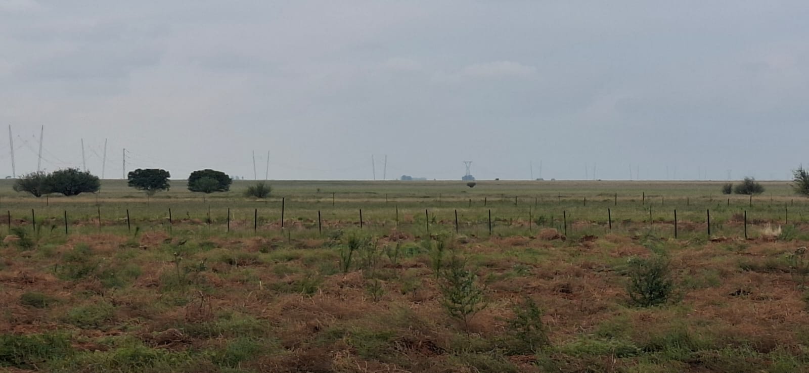 Grazing farm for sale Dealesvlle photo 4
