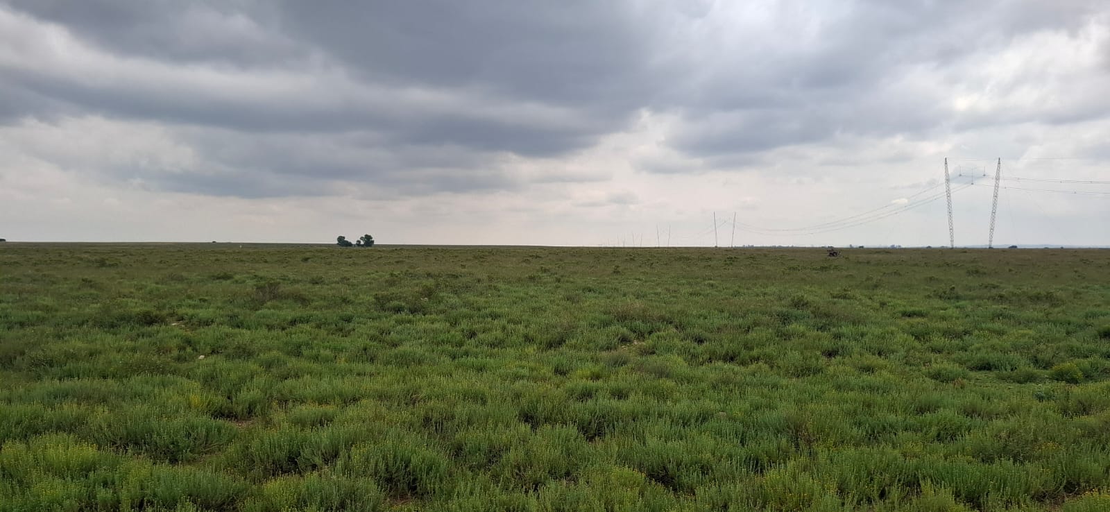 Grazing farm for sale Dealesvlle photo 2