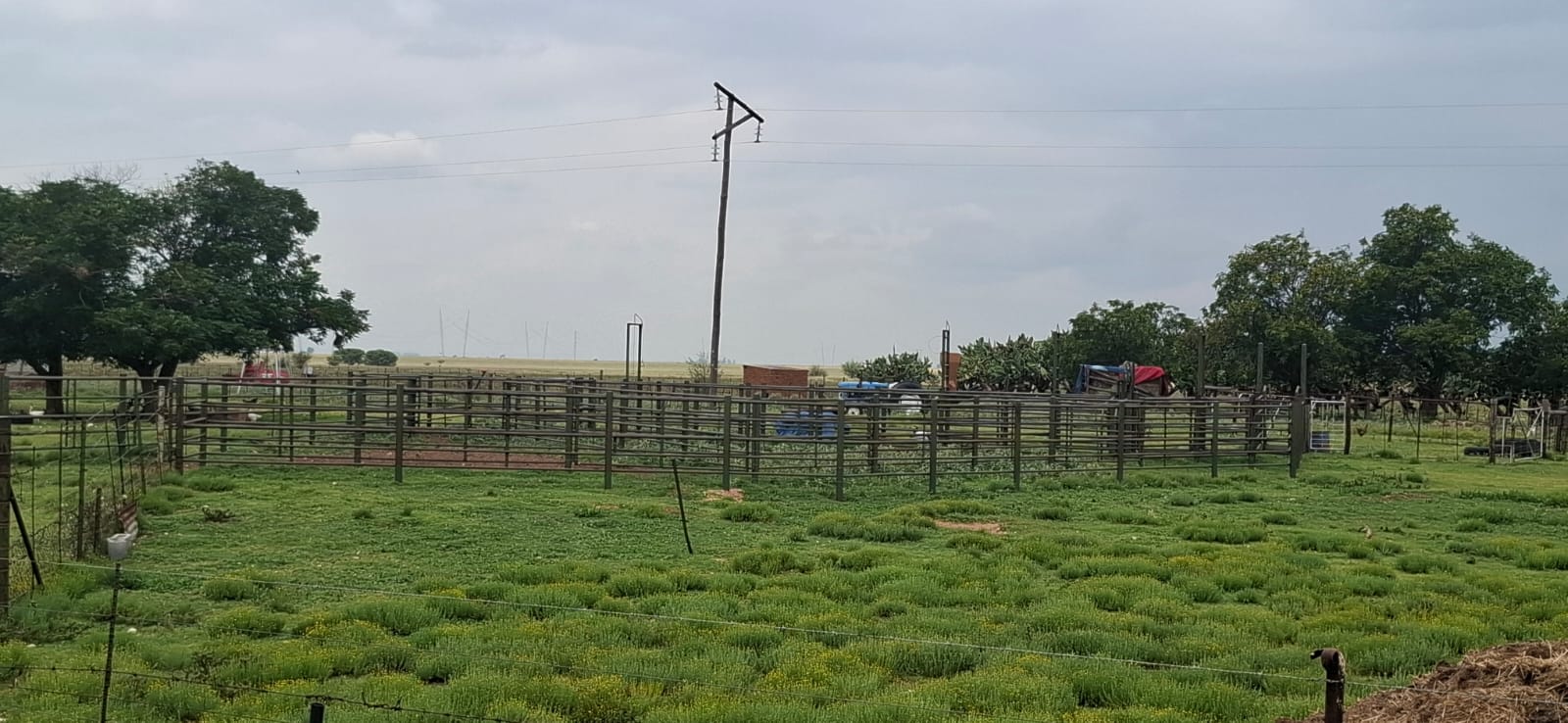 Grazing farm for sale Dealesvlle