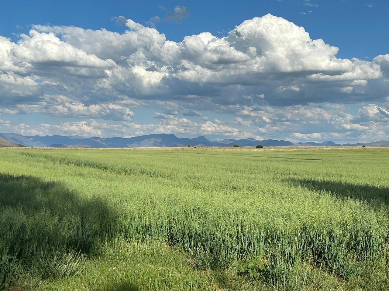 772ha Farm for sale Zastron photo 4