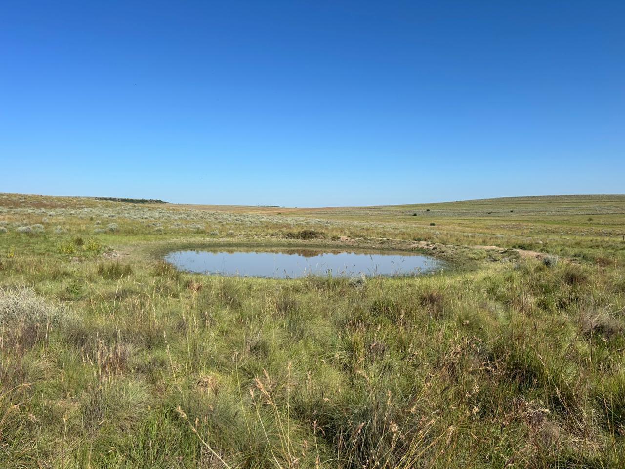 772ha Farm for sale Zastron