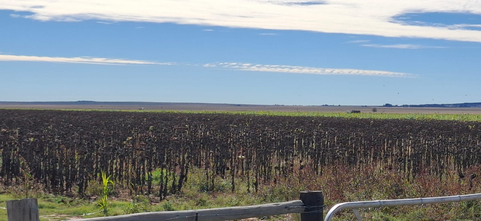  Farm for sale Bloemfontein photo 2