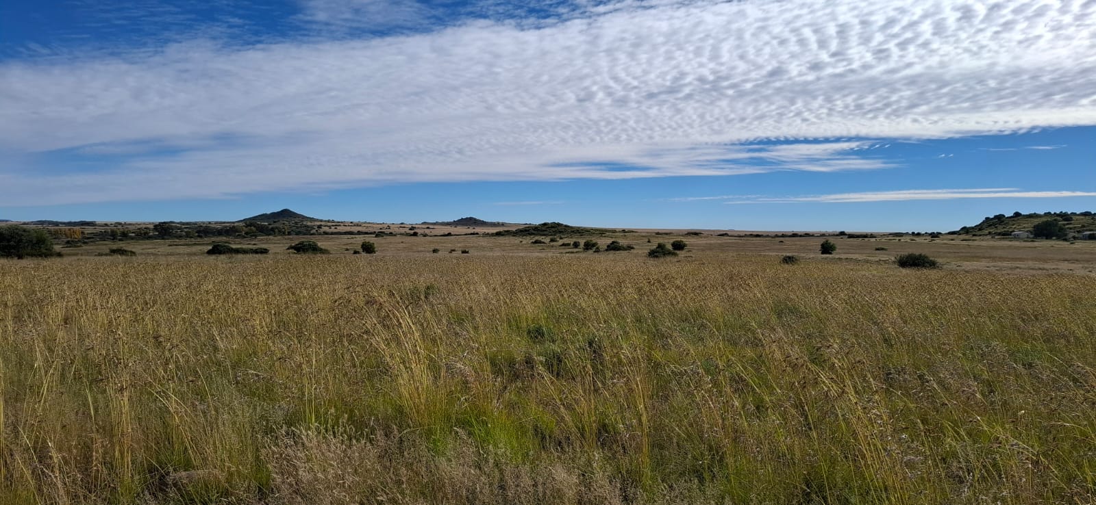  Farm for sale Bloemfontein photo 3