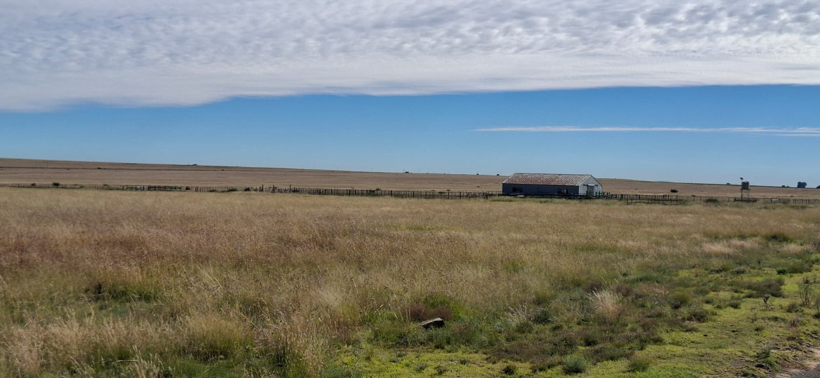  Farm for sale Bloemfontein photo 4