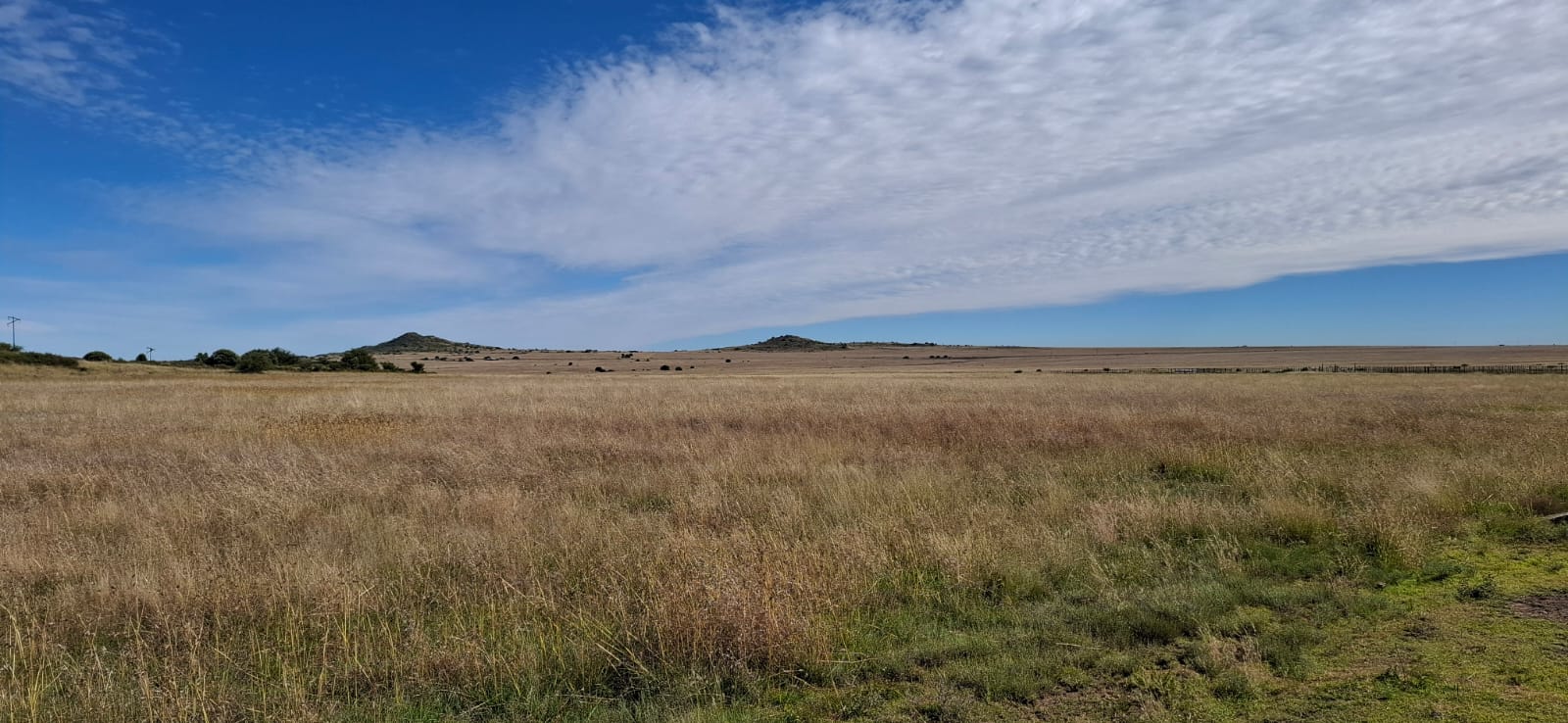  Farm for sale Bloemfontein photo 5