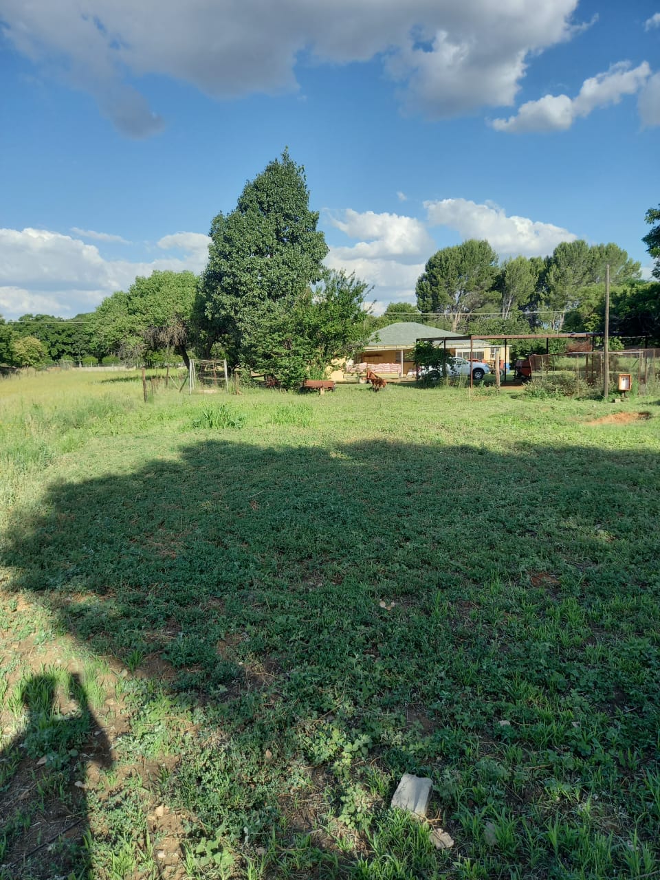 4.28 Ha Smallholding For Sale – River Frontage  photo 2