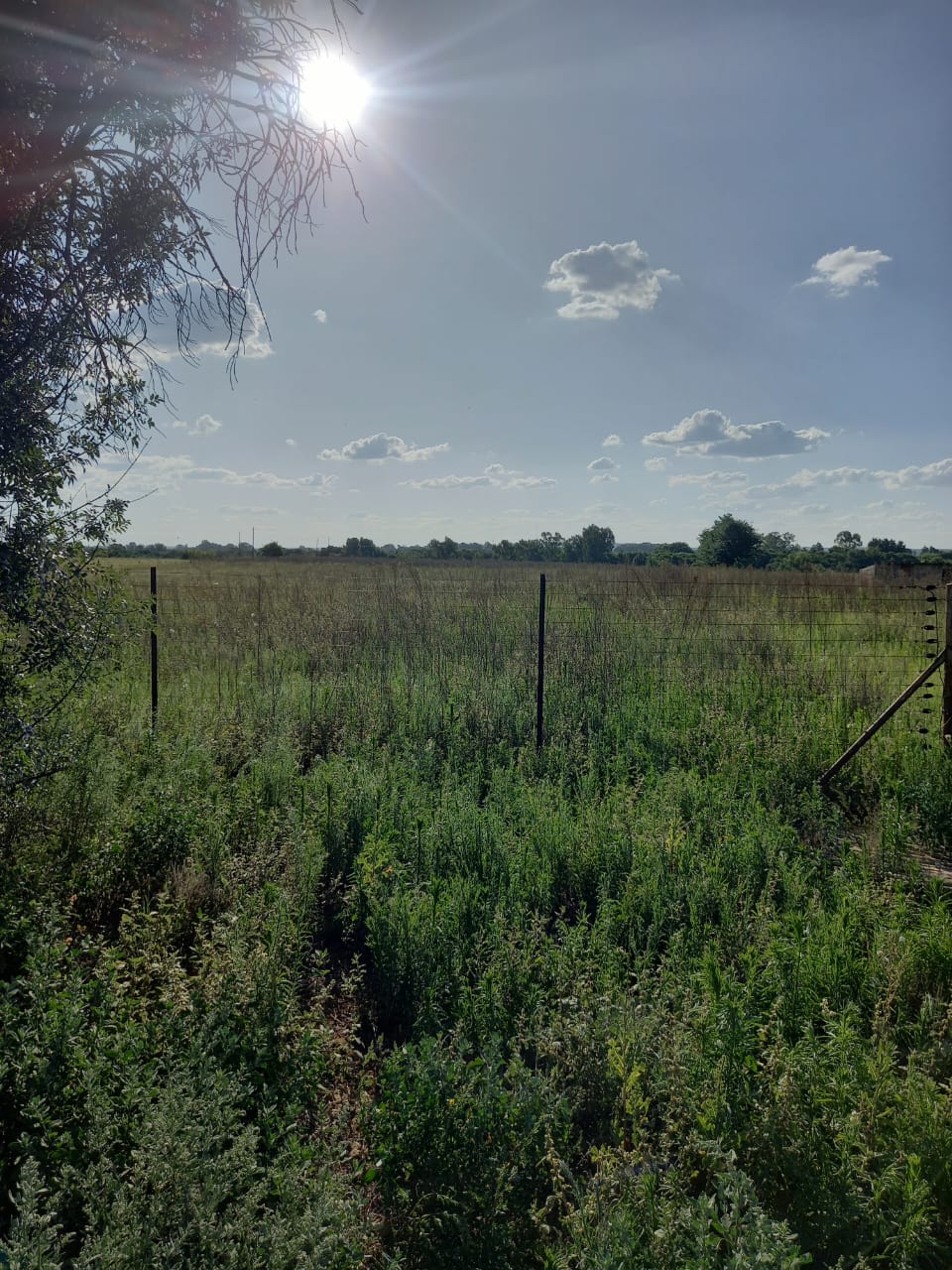 4.28 Ha Smallholding For Sale – River Frontage  photo 5