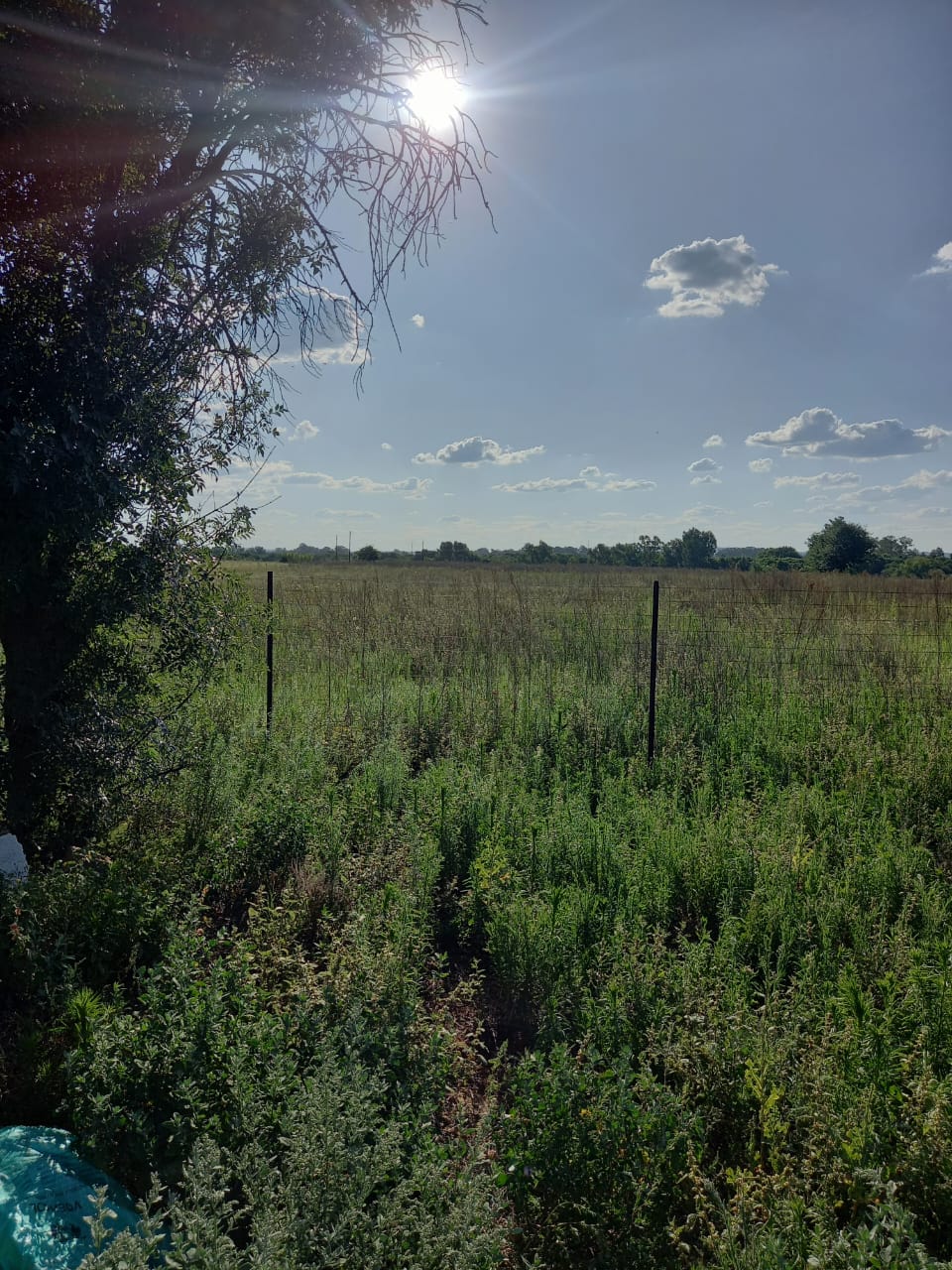 4.28 Ha Smallholding For Sale – River Frontage  photo 3