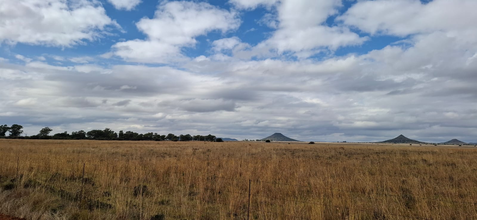2 139 ha Farm for Sale – Bloemfontein Rural photo 3