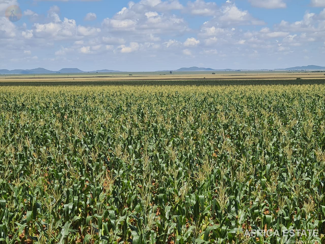 2 139 ha Farm for Sale – Bloemfontein Rural photo 3