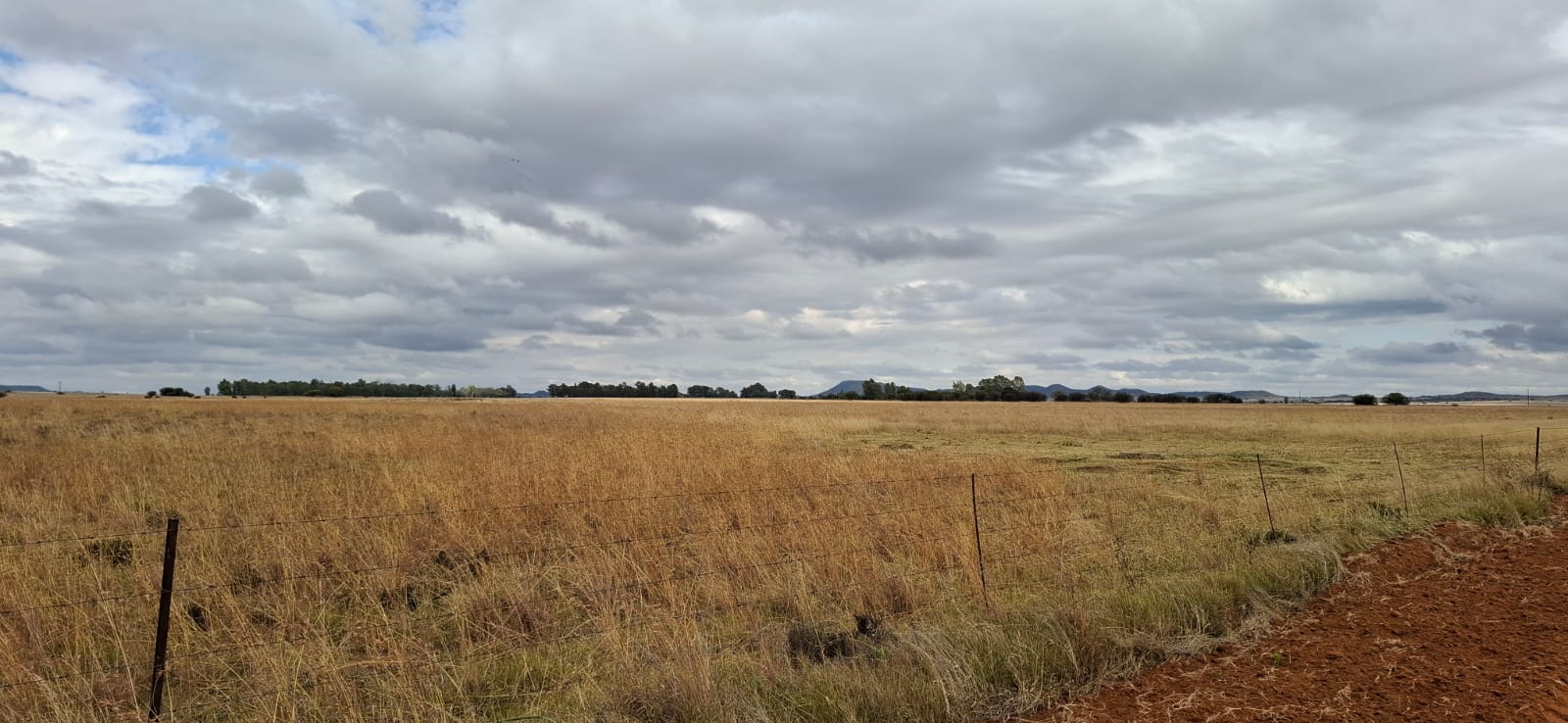 2 139 ha Farm for Sale – Bloemfontein Rural photo 4