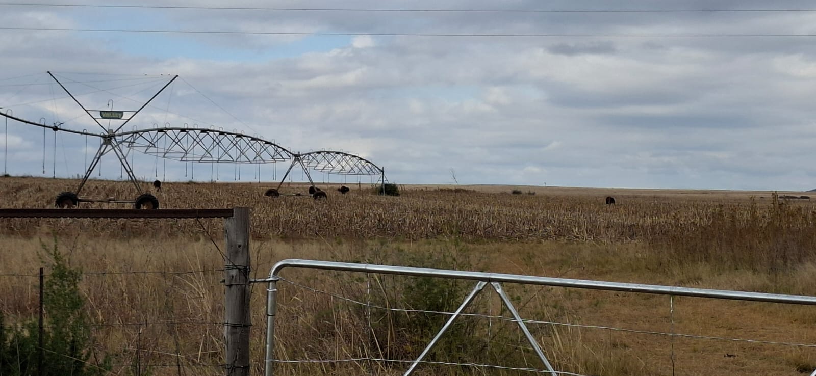 2 139 ha Farm for Sale – Bloemfontein Rural photo 2