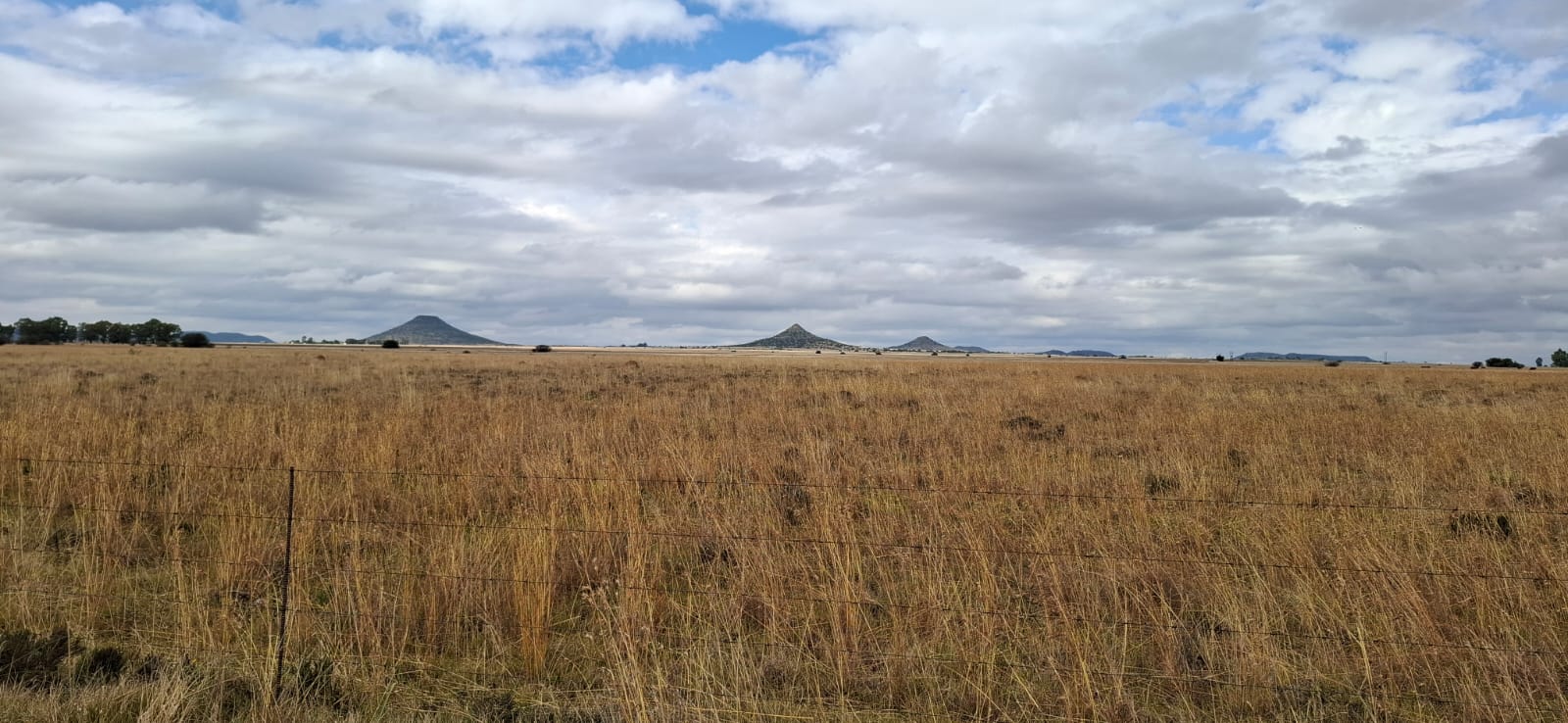 2 139 ha Farm for Sale – Bloemfontein Rural photo 5