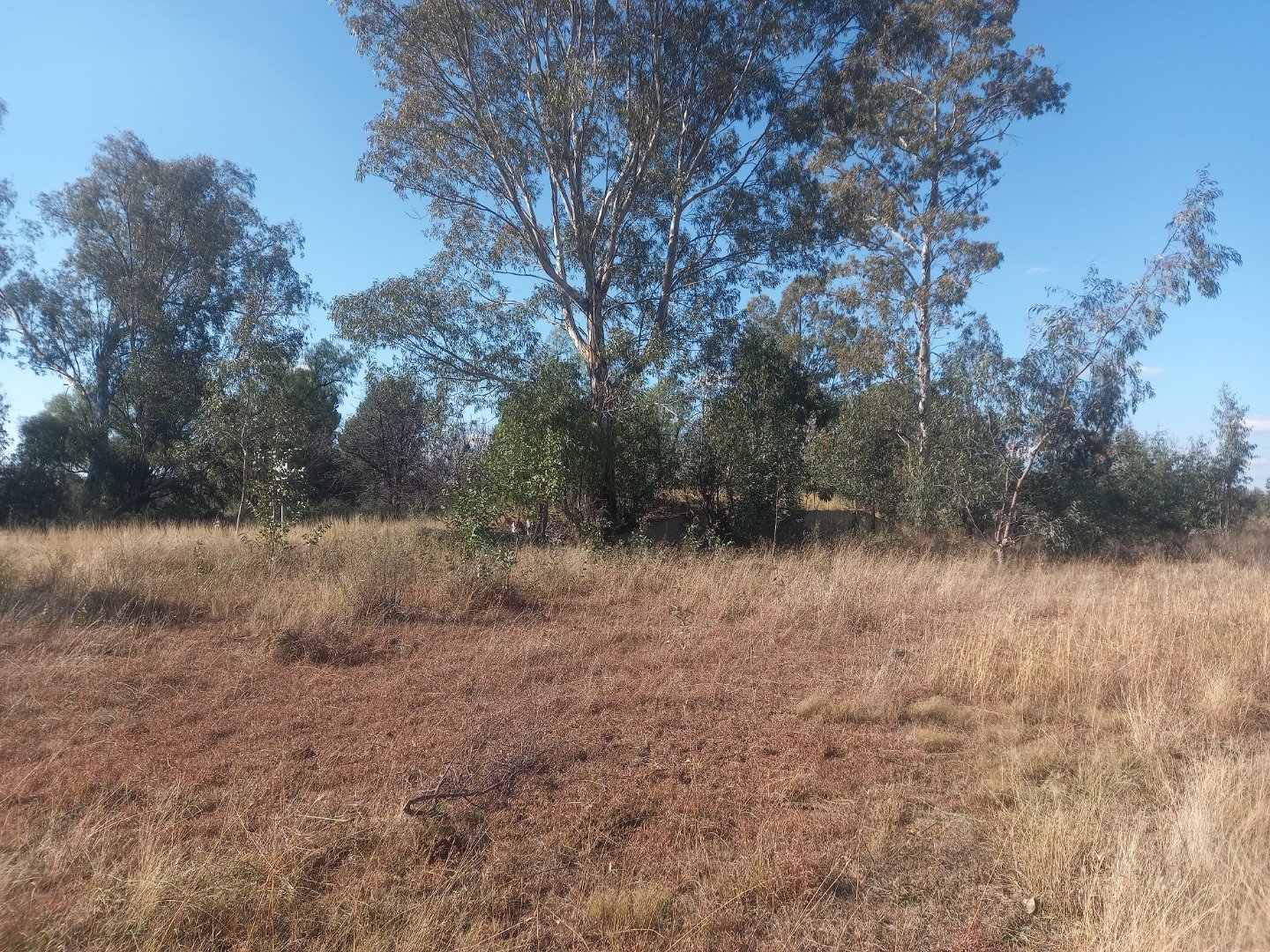 Investment opportunity for Business. photo 2