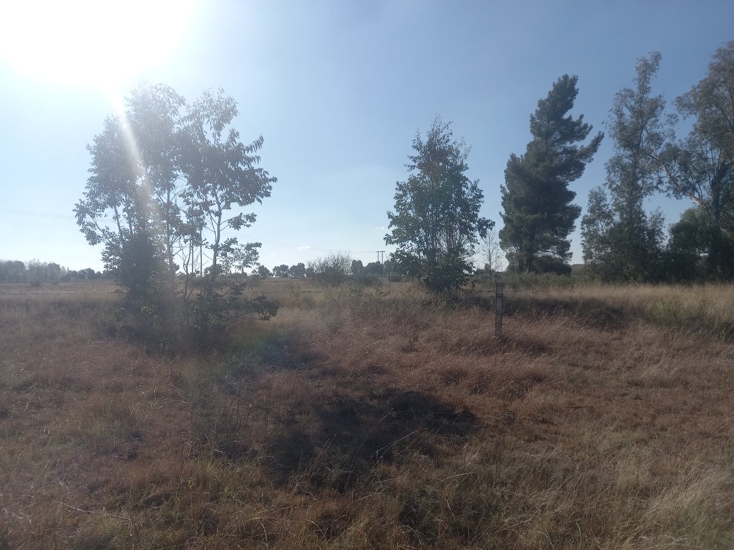 Investment opportunity for Business. photo 3